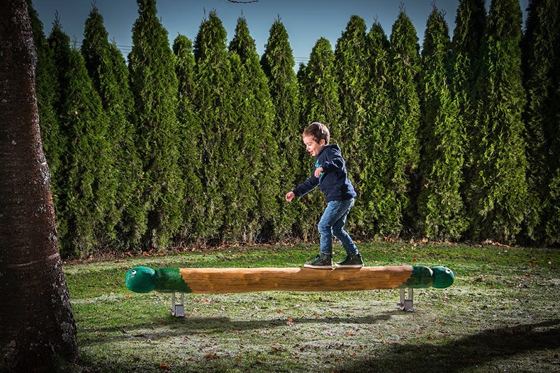 Детская игровая площадка Draco бревно-балансир от компании МАФМАРКЕТ